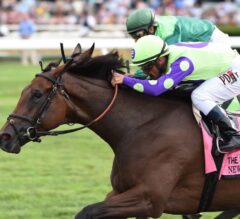 Alabama Stakes Preview: Best Betting Opportunity of the Meet