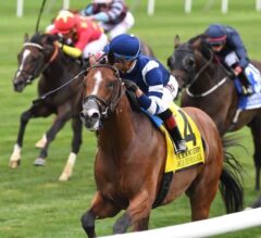 Secretariat Stakes Preview: Oscar Performance Looks for 3 in a Row