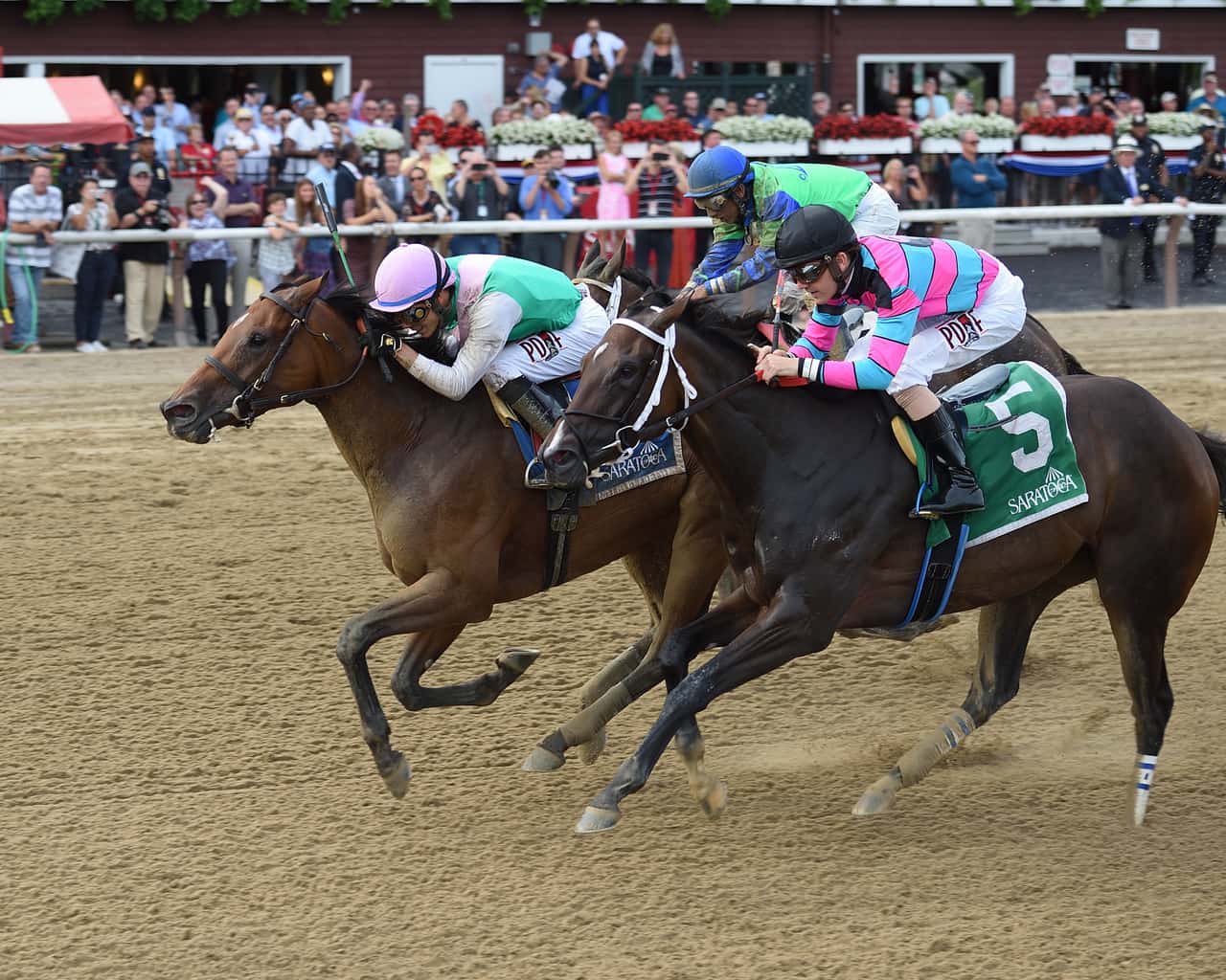 Paulassilverlining Edges Finley'sluckycharm in G2 Honorable Miss