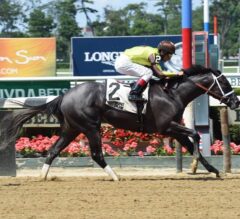 Pure Silver Outlasts I Still Miss You in $100,000 Lynbrook