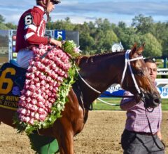 Racing Dudes Divisional Rankings 10/25/17: Breeders’ Cup to Decide Several Year-End Awards