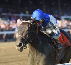 Delaware Handicap Preview: Elate Ready for 4-Year-Old Debut