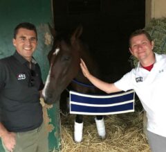 Farewell to a Champion: Songbird Retired