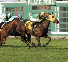Tricky Escape Sneaks Away in G3 Violet