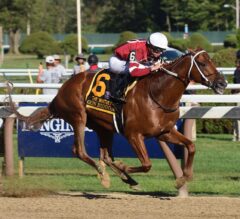 Woodward Stakes Preview: Gun Runner vs. The Pletchers