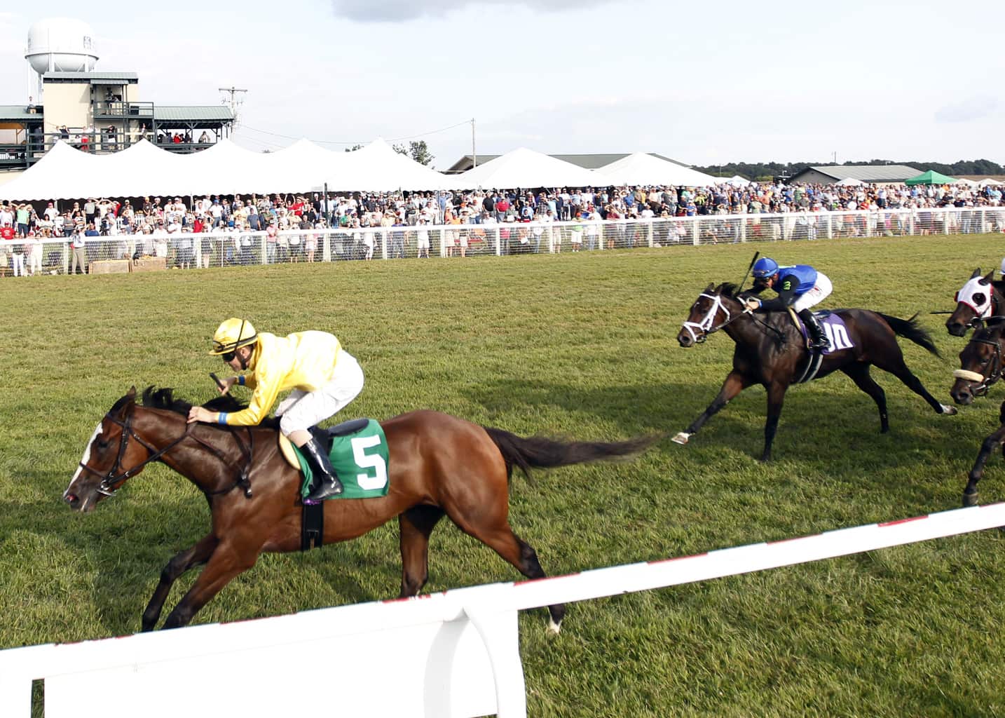 2019 Kentucky Downs Opening Day Picks and Analysis