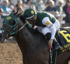 Breeders Cup Predictions #6: Can Anyone Beat Bolt d’Oro?