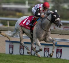 World Approval Rides the Rail to Glory in G1 Woodbine Mile