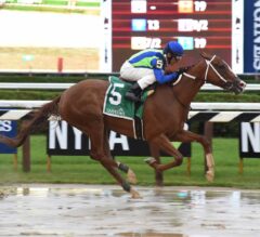 Vertical Oak Splashes To Victory In G2 Prioress