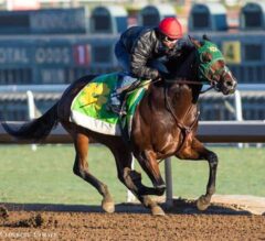 Small Barns Ready to Make Big Impact on Kentucky Derby Trail