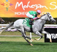 Disco Partner Continues Dominance In $150,000 Belmont Turf Sprint