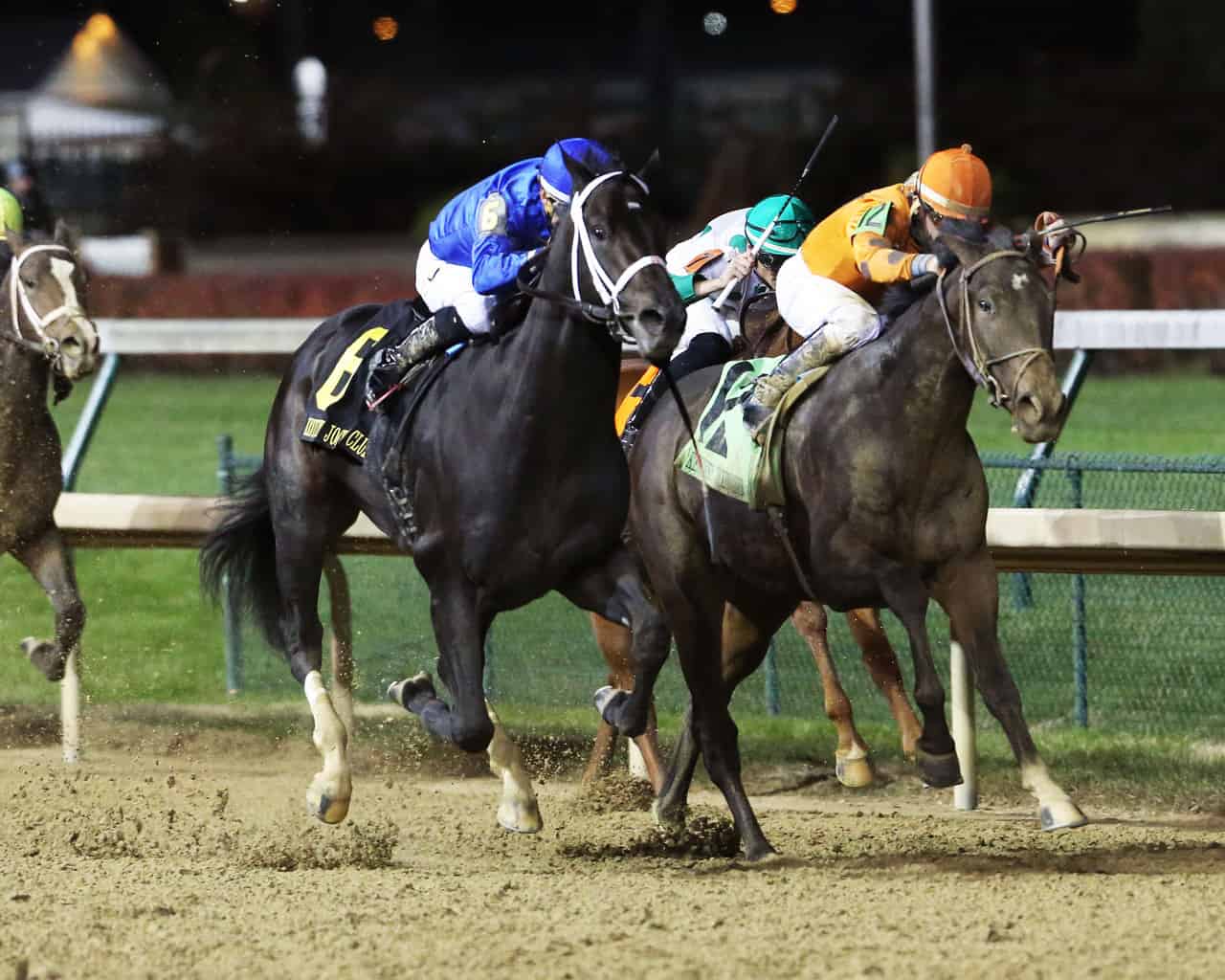 Holy Bull Preview: Enticed vs. Tiz Mischief Set for a Rematch