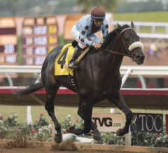 Prime Attraction Beats Both Bafferts, Takes G3 Native Diver