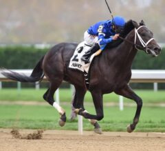 Remsen Stakes Preview: New York-Based 2-Year-Olds Take Center Stage