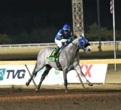 Greyvitos Springs To Victory In $400,000 Springboard Mile
