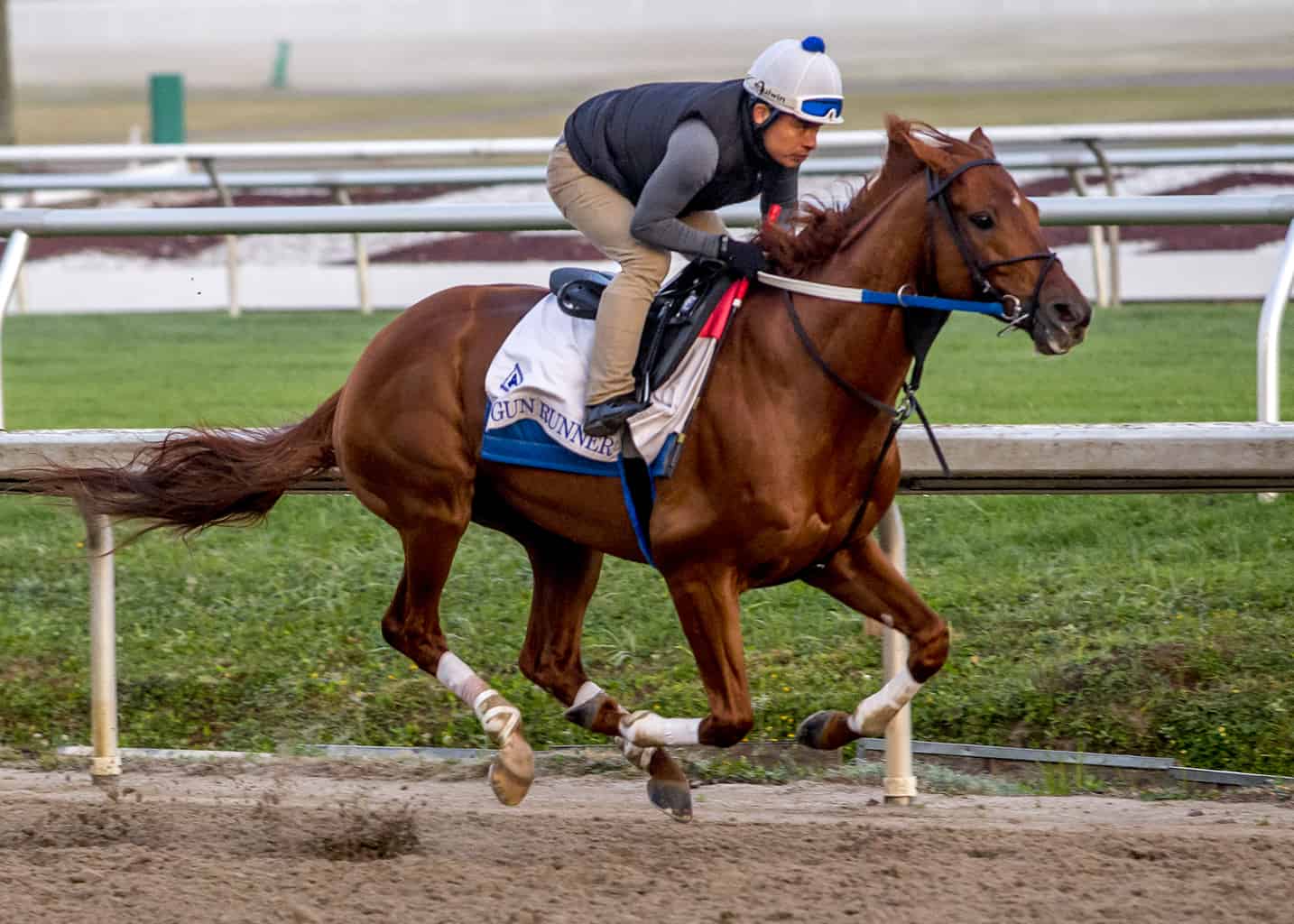 Gun Runner Amazing in Pegasus Work