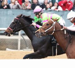 Amy’s Challenge Necks Out Win in $125,000 Dixie Belle