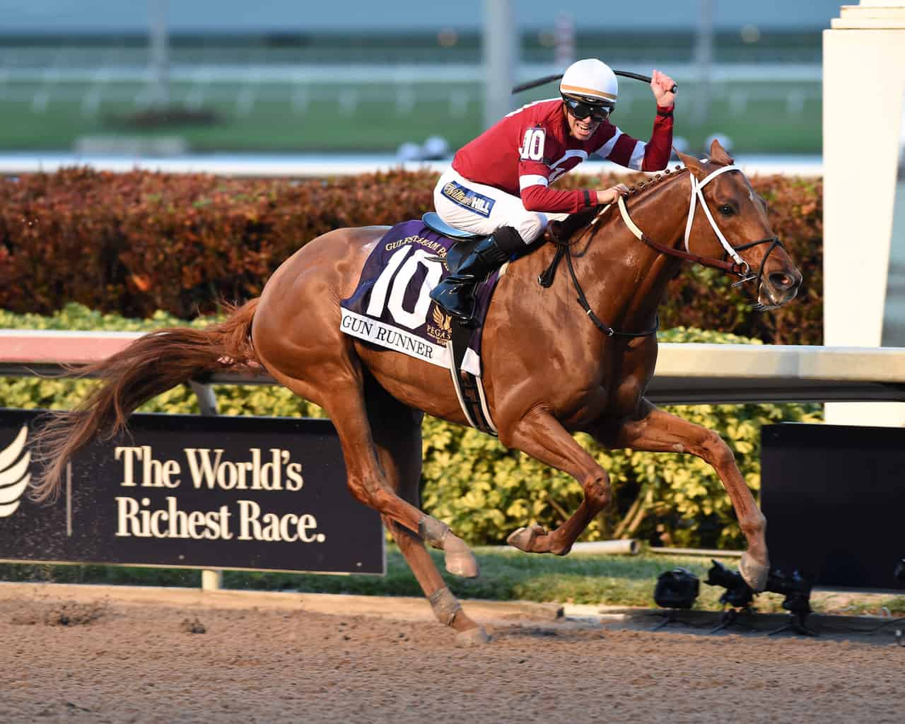 Gun running. Ганраннер лошадь. Софтуер Пегасус. Pegasus World Cup. Олег Пегасус.