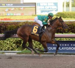 Mask Makes Mincemeat Of Rivals In $100,000 Mucho Macho Man