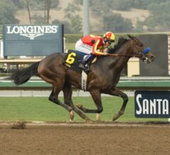 San Felipe Stakes Preview: McKinzie Primed to Become Top Derby Contender