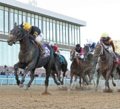 Somo Bombs: Gulfstream Park and Oaklawn Park Picks for March 14, 2020