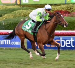 Thewayiam Earns First Stakes Win In $100,000 Ginger Brew