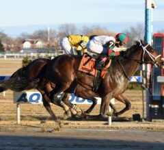 Gotham Stakes Preview: Field of Nine Set for One Turn Mile