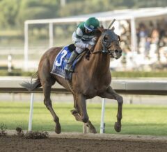 Accelerate Rides Rail To Glory In G2 San Pasqual