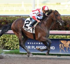 Economic Model Returns to Victory in Grade 3 Hal’s Hope Stakes