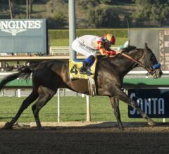 Heck Yeah Proves Multi-Surface Threat After Taking $200,000 Cal Cup Derby
