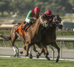 Itsinthepost Continues Dominance In G2 San Marcos