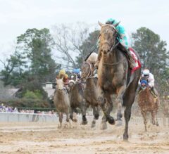 Racing Dudes Three Stars of the Week: Upsets Along the Derby Trail