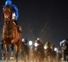 UAE Derby Preview: Gold Town Takes Aim at Kentucky Derby