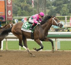 Forego Stakes Preview: City of Light Back to Sprinting