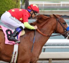 Santa Anita Derby Preview: Time to Justify the Hype