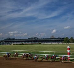 Keeneland Summer Meet Stakes Probables