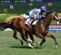 Maraud Plunders Victory Late In G3 Palm Beach