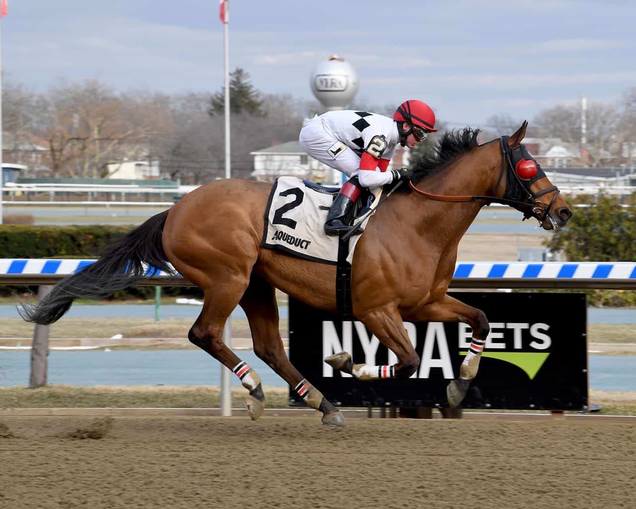 Aqueduct Thoroughbred Racing Dudes