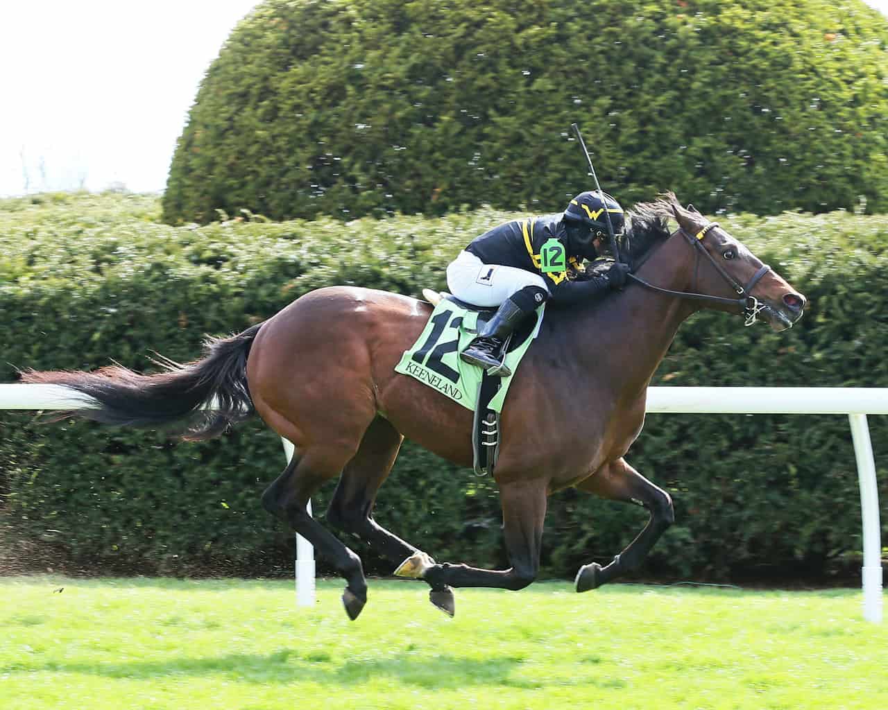 Bound for Nowhere holds on to win the G2 Shakertown Stakes