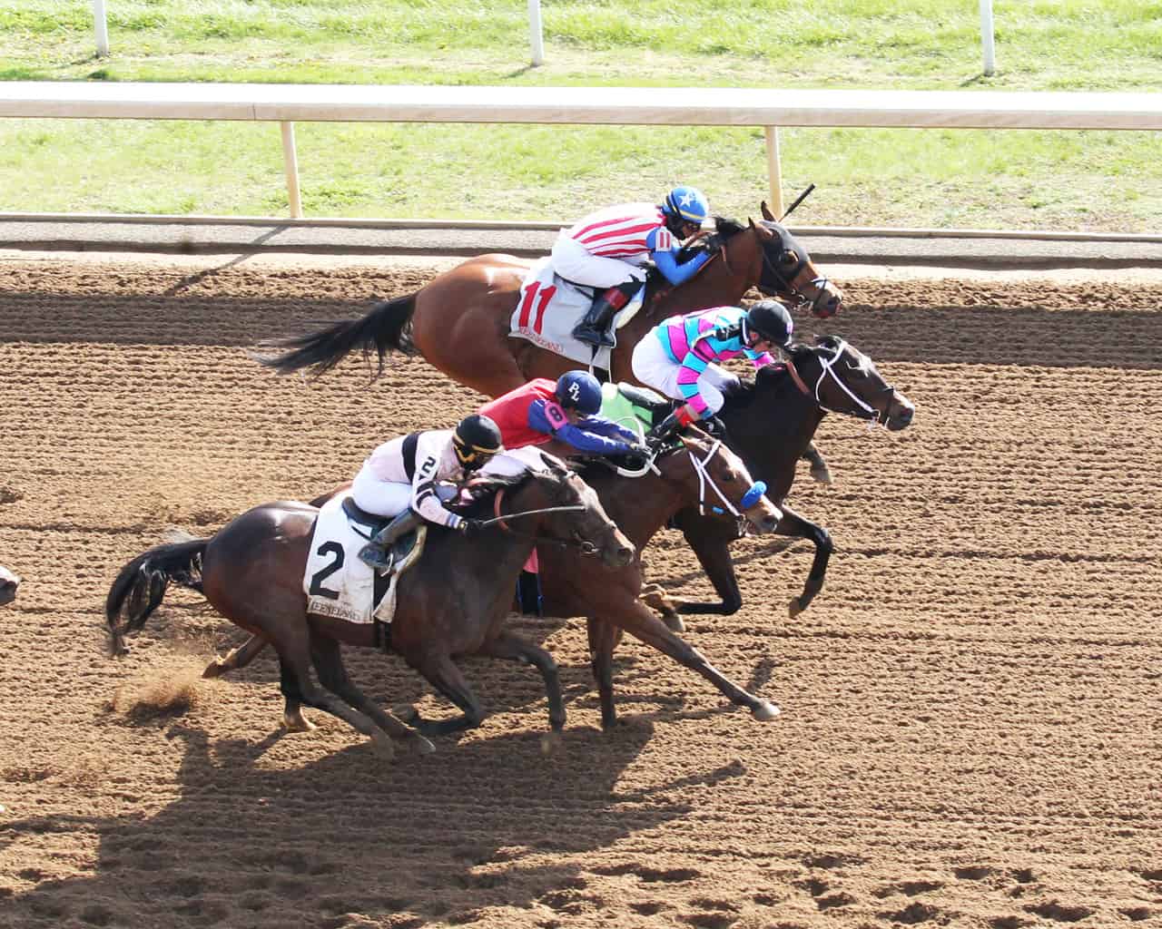Favorites shine in final preps at Keeneland