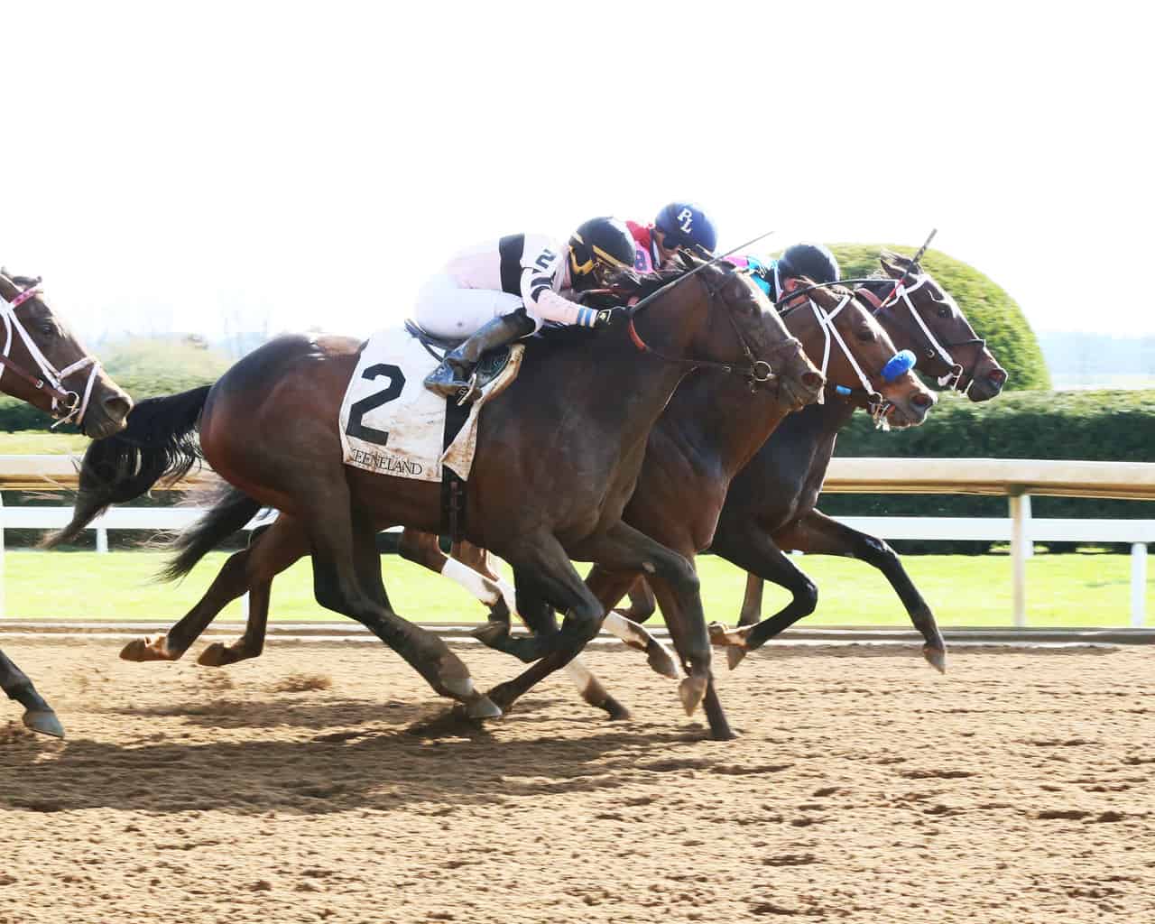 Favorites shine in final preps at Keeneland