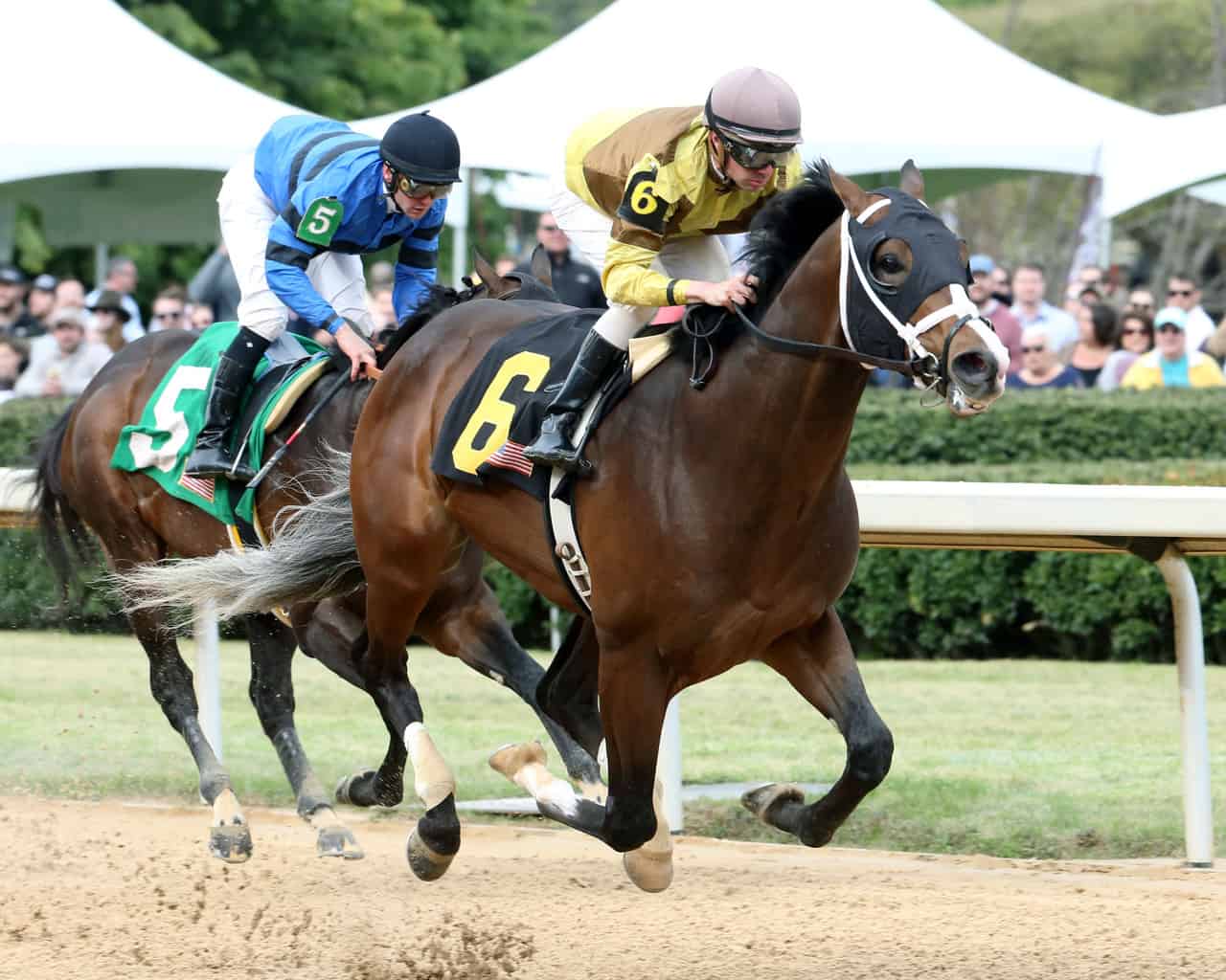 Kentucky Derby Winner Justify Returns to the Track Kentucky Derby Winner Justify Returns to the Track
