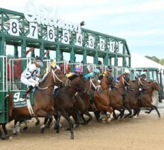 Rebel Stakes Preview: Oaklawn Saves the Day