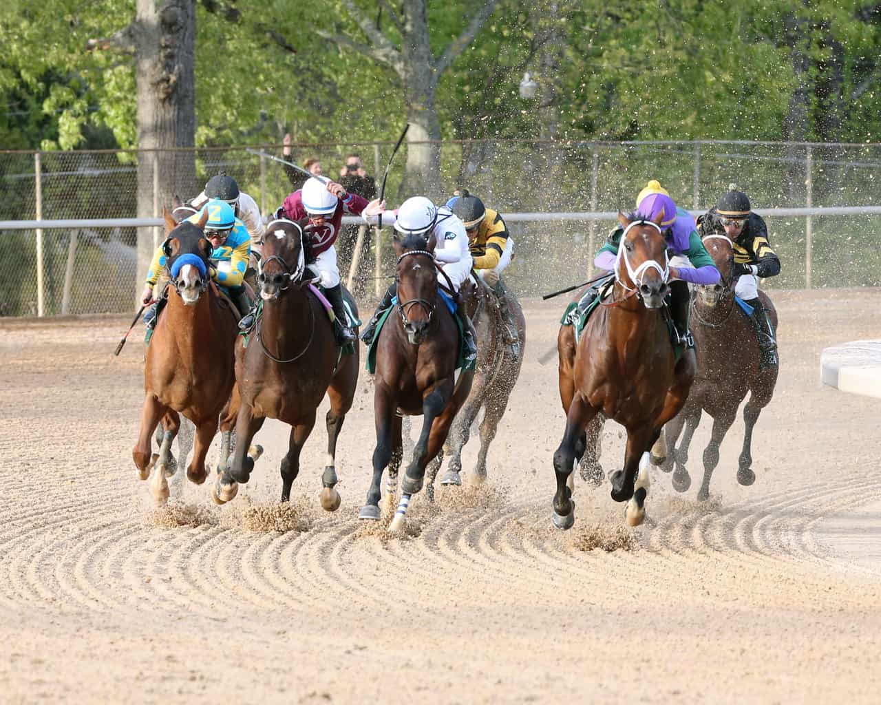 Increase the Exotic Payout Tenfold in Preakness