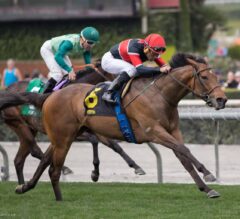Fatale Bere Wins G3 Providencia Stakes with Surprising Late Burst of Speed
