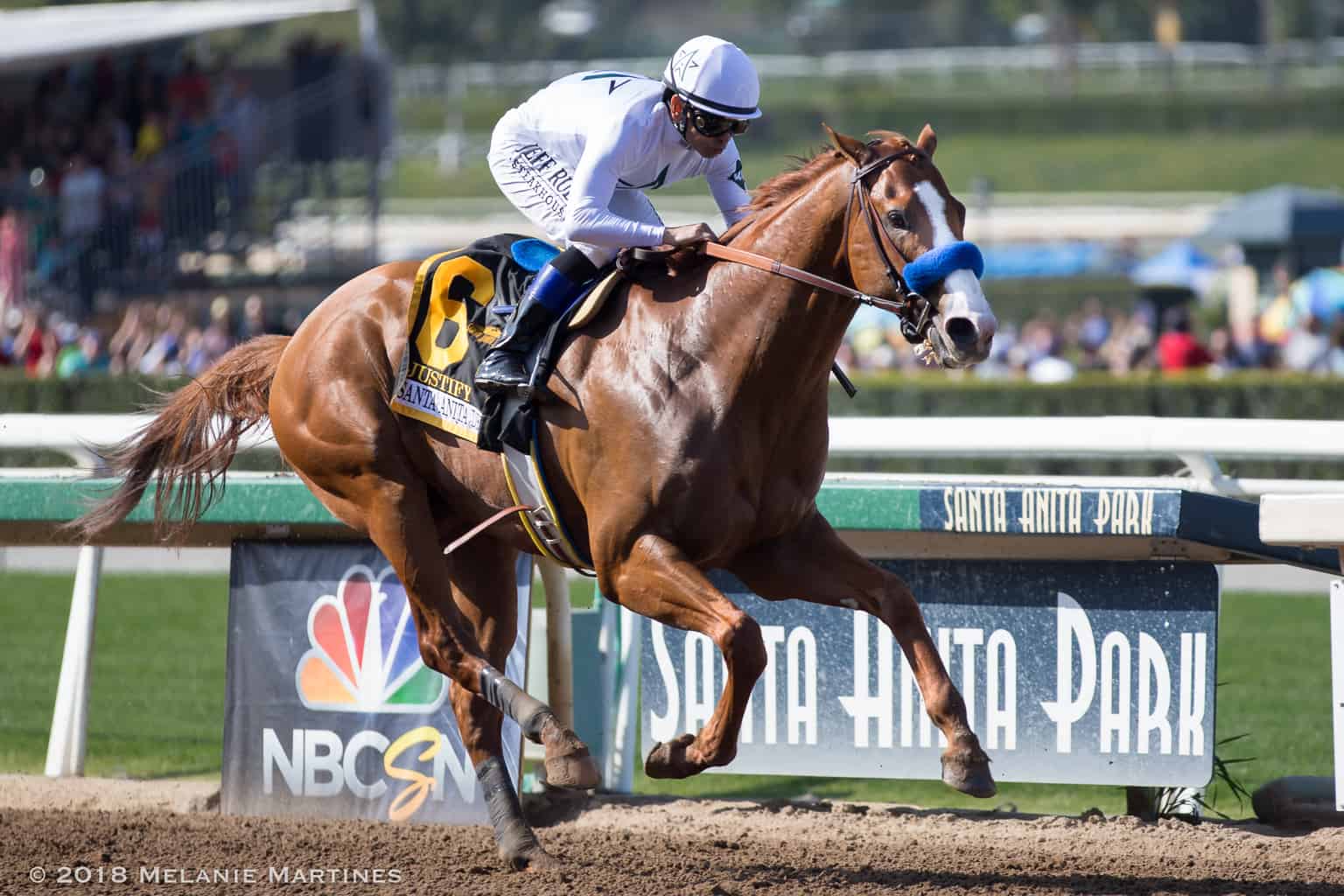 Ky derby infield pictures