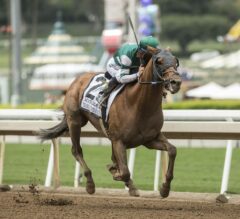 Racing Dudes Divisional Rankings 5/30/18: Accelerate Takes Over Top Older Male