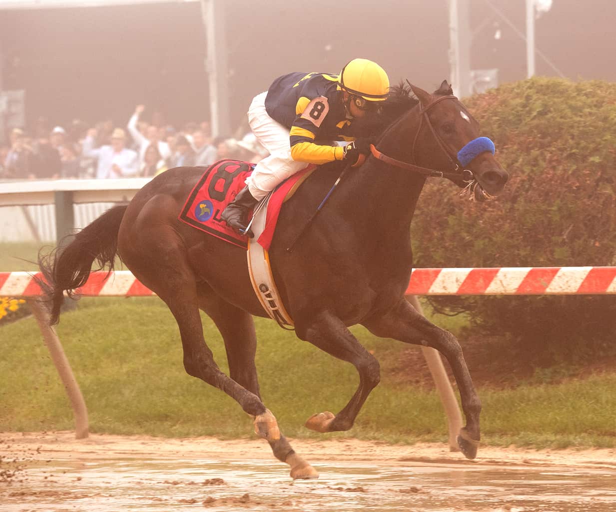 Ax Man Chops Through Fog, Takes $100,000 Sir Barton