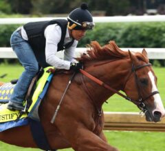 Justify Set to Take Final Step Towards Triple Crown Glory from Rail in 150th Belmont Stakes