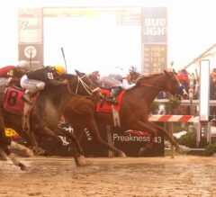 Justify Emerges Perfect in Preakness